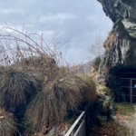 Il Monte Morissolo e il Monte Spalavera. Il balcone del Lago Maggiore img 2679