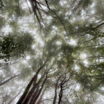 L'Anello di Piancavallone - Valgrande (VB) 208a7e33 71c9 41e2 aa54 819ebf06de20