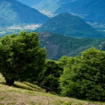 L'Anello di Piancavallone - Valgrande (VB) e8a79f65 0630 4f05 b126 1c66a0ddcebd