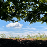 Il Monte Faiè, La sentinella dell'Ossola img 1979