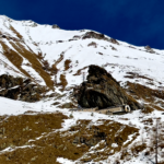 img 7716