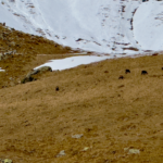 img 7713