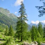 Alpe di Larecchio nella splendida Val Vogna larecchio1