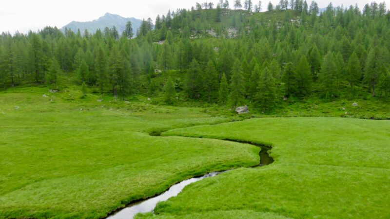 Alpe di Larecchio nella splendida Val Vogna larecchio4