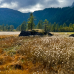 Il Fuoco dell'Autunno all'Alpe Devero devero 6
