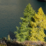 I Laghi di Frudiere per vivere i luoghi de "Le 8 Montagne" frudiere 5